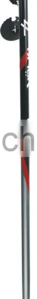 Nordic Customized Ski Pole Outdoor Sporting Goods