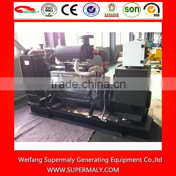 CE Approved Biogas Generator Set With Devulcanizer and Gas-water Separator