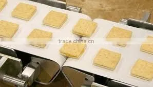 Food Grade Belts