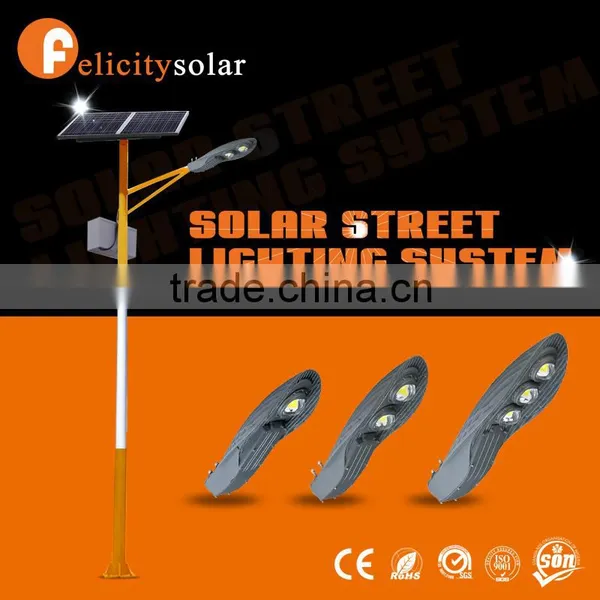 2016 Guangzhou Felicity Brand Solar 80w Street Light for Government Project