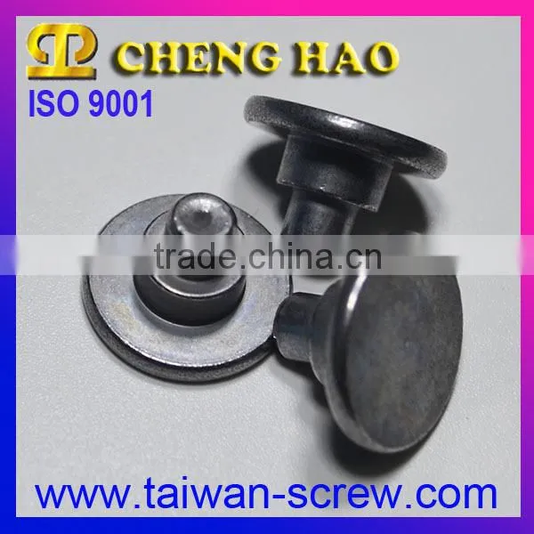 OEM Manufactur Flat Button Head Rivet With Stainless Steel photo-6