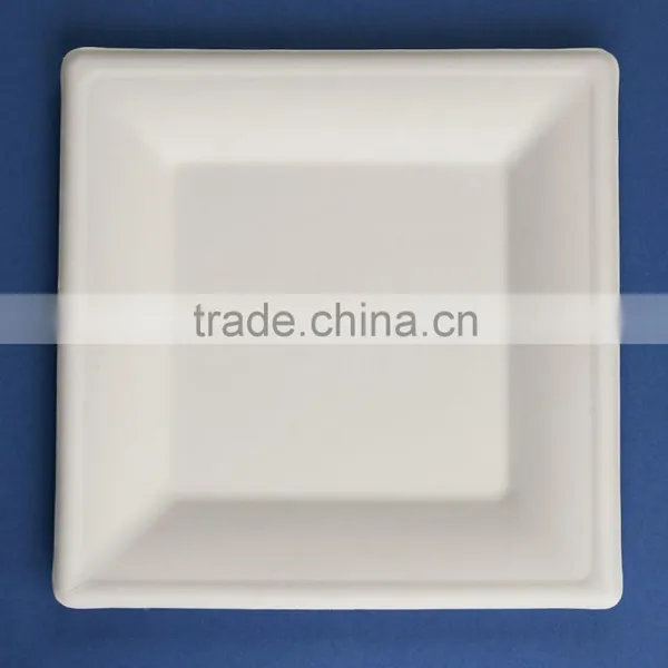 T0286A 6 Inches Disposable Flate Square Sugar Cane Paper Plate Quality Choice