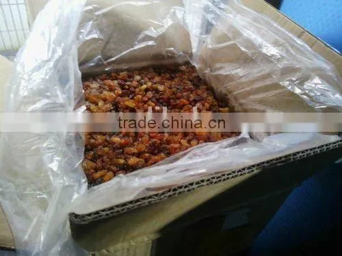 Sultana Raisin photo-2