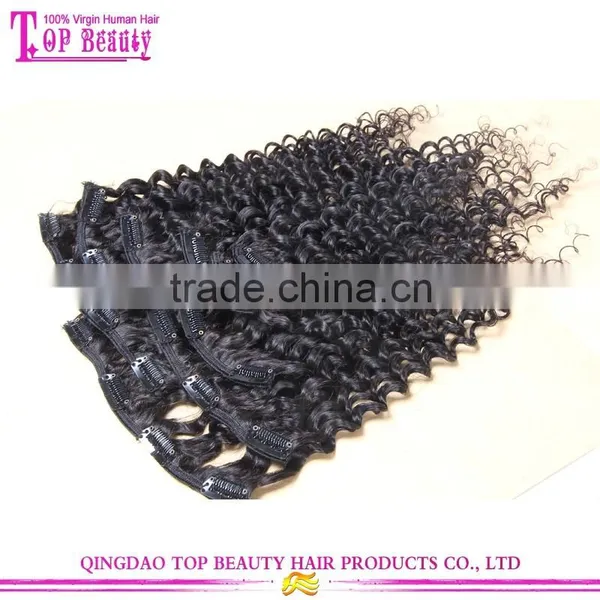 Wholesale Unprocessed High Quality 100% Virgin Indian Deep Curly Hair Clip in Extensions photo-5