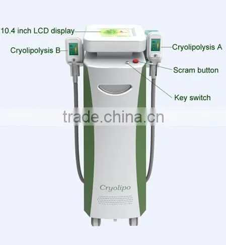 Body Shaping Best Result Cryolipolysis Fat Freeze Slimming Machine+cryolipolysis Machine 220 / 110V photo-6