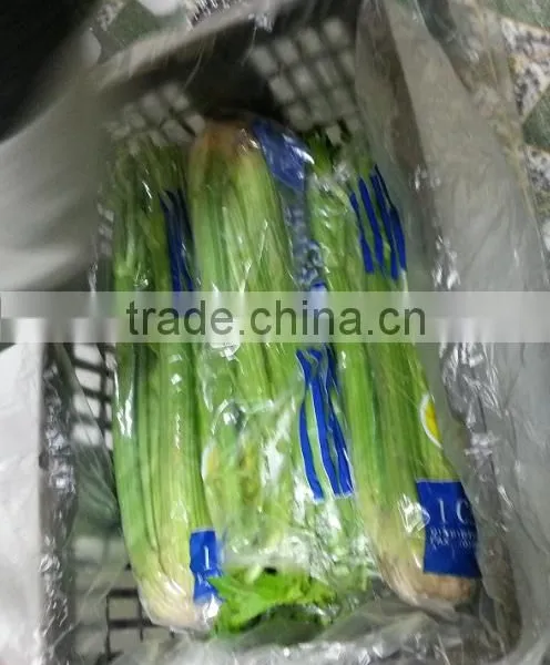 Celery