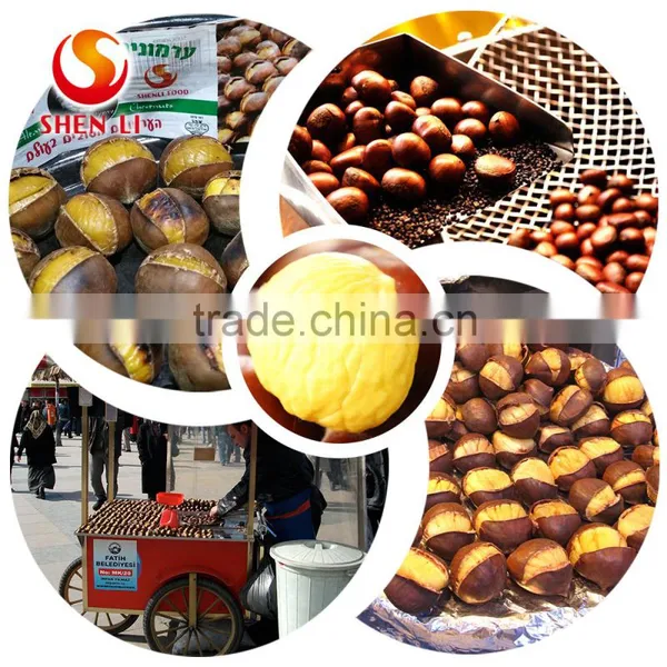 New Crop Fresh Chestnut is the Best Fruit and Vegetables photo-4