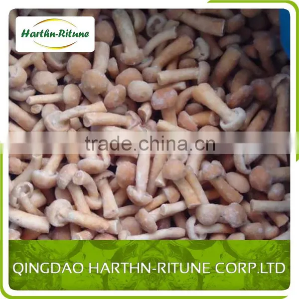 Bulk Frozen Nameko Mushroom Nameko photo-3