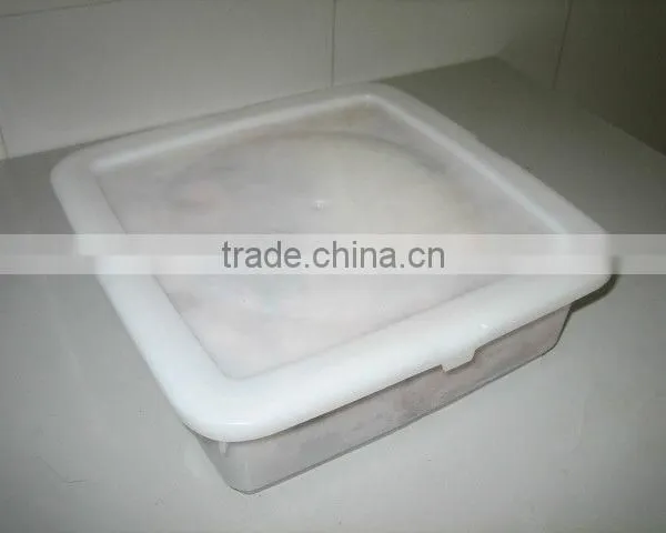 Chuka Ika Sansai (seasoned Squid Salad) photo-2