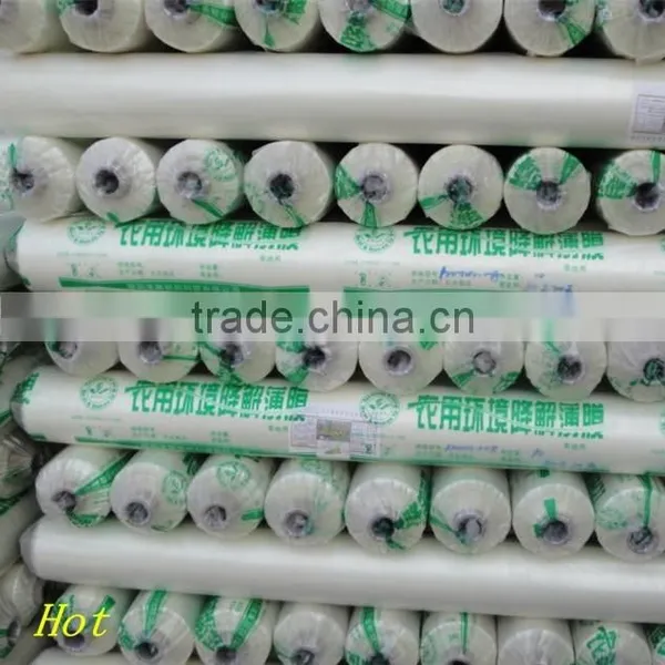 High Quality! Agricultural Mulch Film/PE Mulch Film/ PE Agriculture Film photo-3