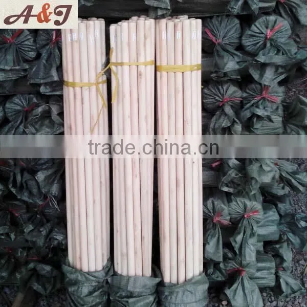 Two Hands Polished Natural Broom and Dustpan Set South-africa Used Thread
