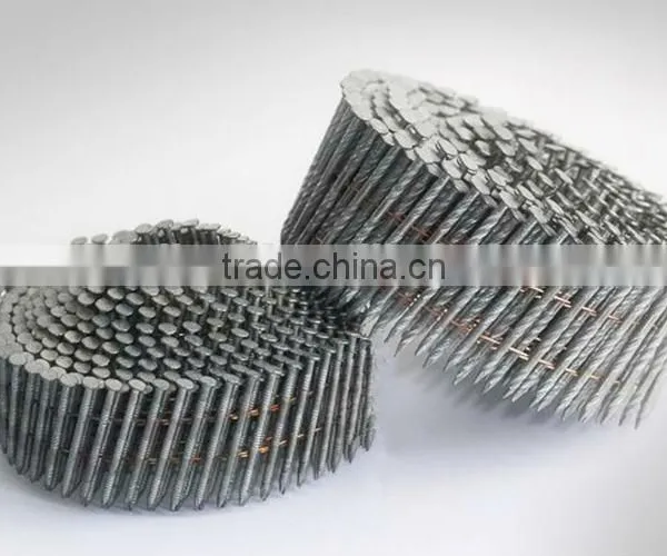 Hot-dip Galvanized Spiral Screw Shank Coil Roofing Nails photo-5