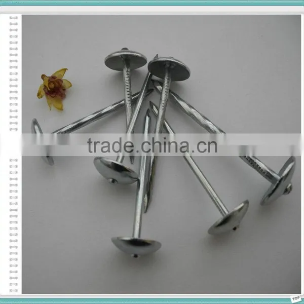 Galvanized Umbrella Head Roofing Nails With Smooth/Twist Shank by Low Price( Direct From Factory) photo-2