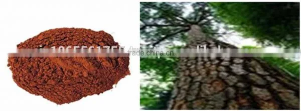 Pine Bark Extract photo-4