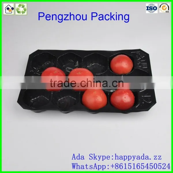 pp Tray PP Fruit Tray For Tomato photo-4