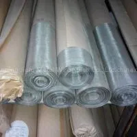 Electro or Hot Dipped Galvanize Steel Wire Mesh
