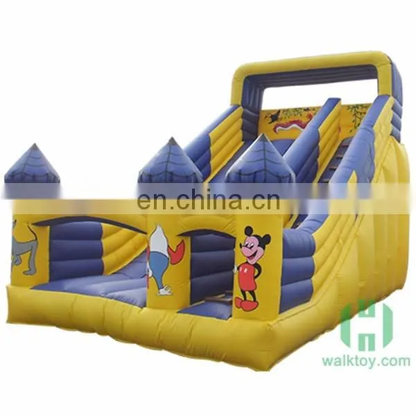 HI Custom Design Big Water Slides for Sale, Adults Game Inflatable Water Slides China photo-3