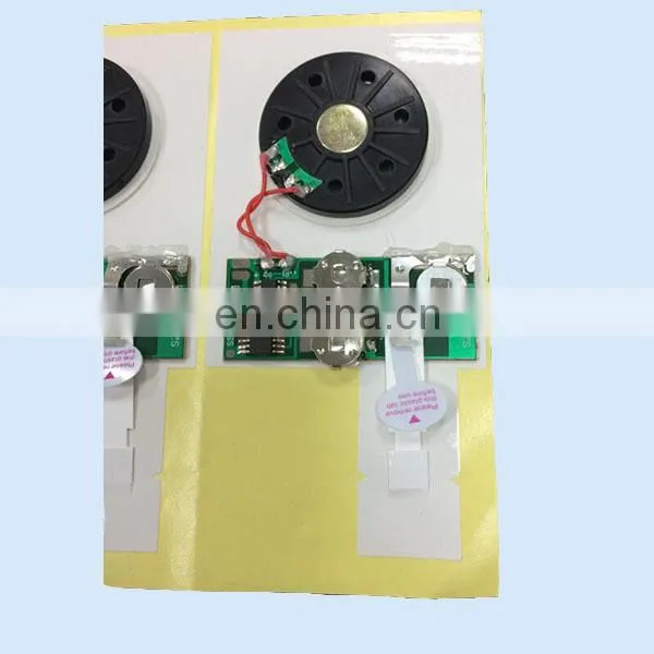 10 to 60 Seconds Chip Recordable Sound Module for Greeting Cards photo-4