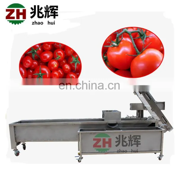 Multifunction Air Bubble Vegetable and Fruit Washing Machine Red Dates Washing Machine Orange Fruit Washing Machine photo-6