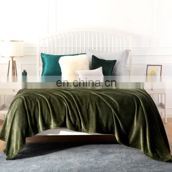 Fashionable Premium Convenient Fluffy Double Sided Custom Thick Adult Flannel Fleece Blanket photo-3