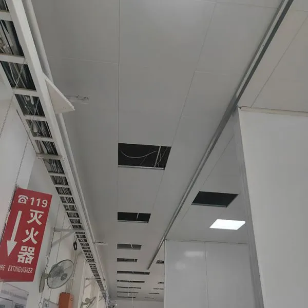 AA1050 Engraved Perforated Ceiling Sheets For Building Ceiling Decoration photo-5