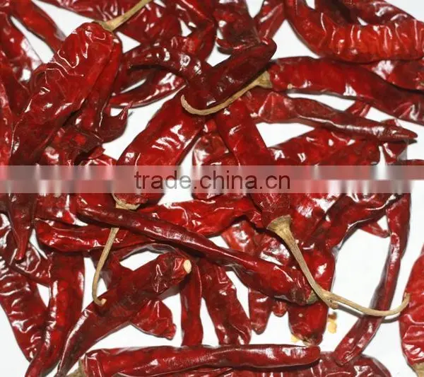 Vietnam High Quality Big Frozen Hot Red Dried Chili Pepper photo-2