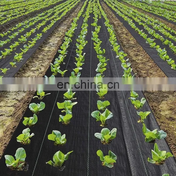 3.5oz PP Woven Anti Grass Cloth Garden Nursery Ground Cover Membraine photo-5