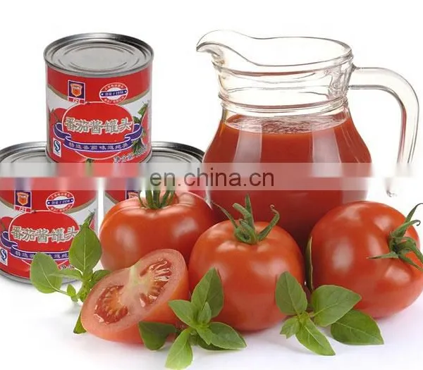 Concentrated Tomato Paste Making Machine/Tomato Paste Production Line photo-2
