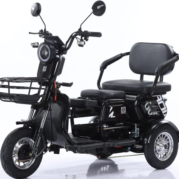 2025 Best 3 Wheel Passenger Tricycle Two Seat 48v Electric Tricycle Bike for Adults and Old People photo-5