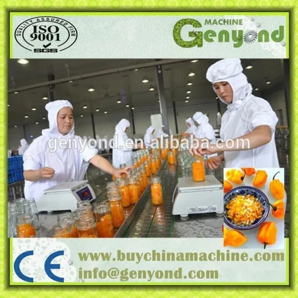 China Pickled Cucumber Production Line/processing Machine/equipment photo-4