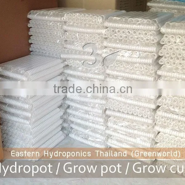 Growing Pot photo-4