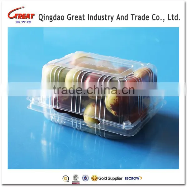Plastic Fruit Packaging Container Tray Disposable Plastic Blueberry Packaging Container photo-3