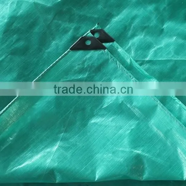 pe Sheet Any Color Any Size pe Sheet Cheap Price Best Quality photo-4