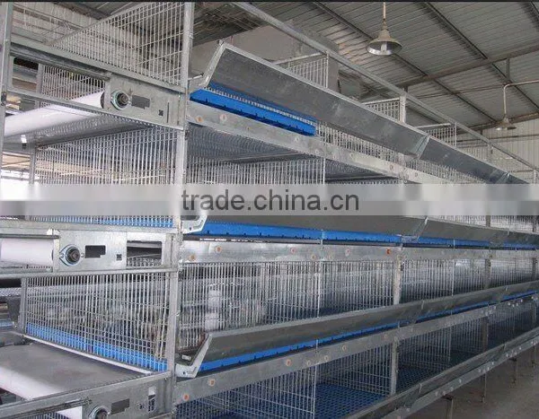 H Type Automatic Chicken Cage photo-2
