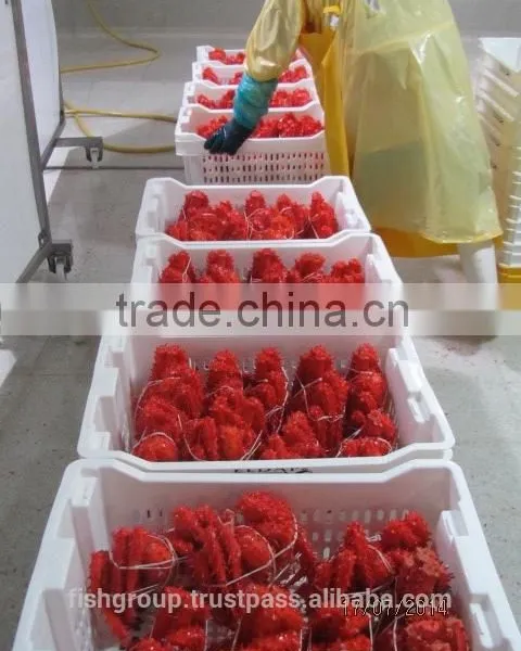 KING CRAB WHOLE photo-3