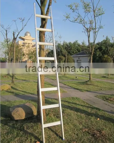 Aluminum Ladder photo-2