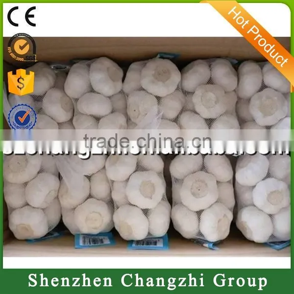 2016 New Crop Fresh Natural Pure White Garlic