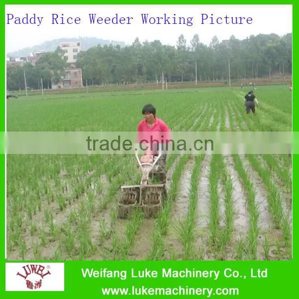 Manual Rice Transplanter Price in Thailand photo-3