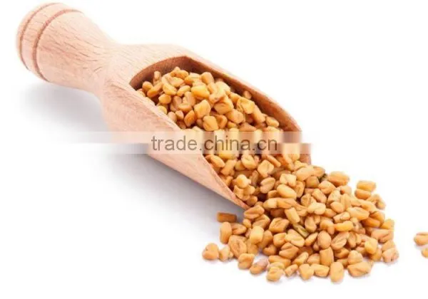 FENUGREEK SEEDS photo-3