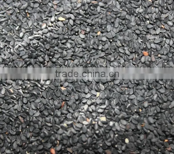 Black Sesame Seed