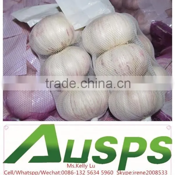 2015 New Crop Chinese Fresh Garlic 4.5-6.0cm photo-2