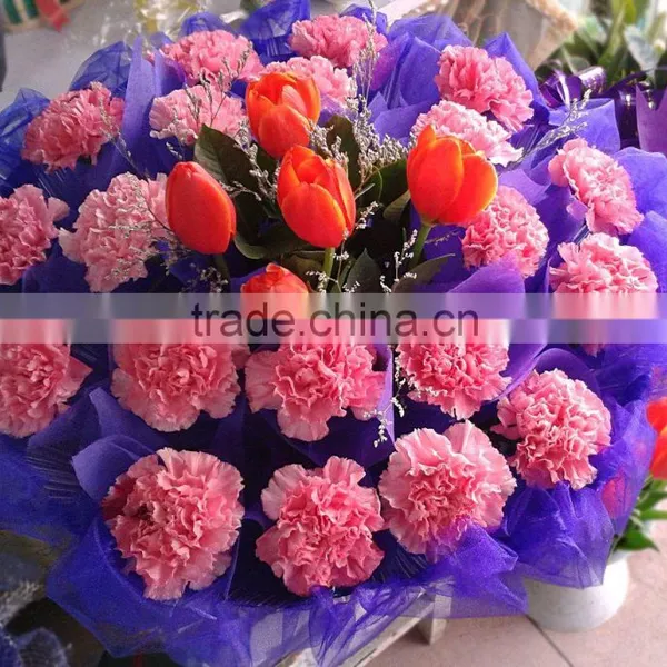 Carnation Fresh Cut Flower for Sale photo-6