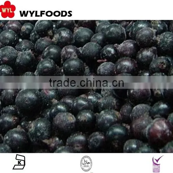 IQF Frozen Balck Currant Hot Sale 2015 photo-6
