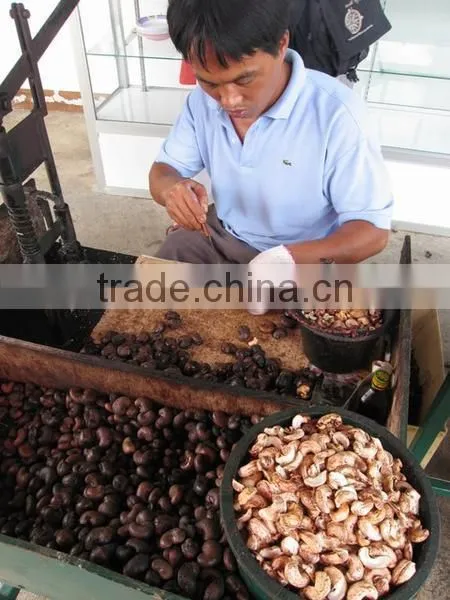 SUPPLY CASHEW NUT SHELL OIL photo-3