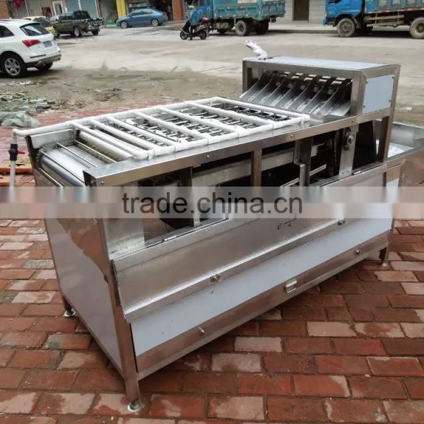 FT-200 Full Automatic Peeler Type Pre-boiled Hen Eggs Goose Eggs Sheller Shelling Machine With Stainless Steel photo-2