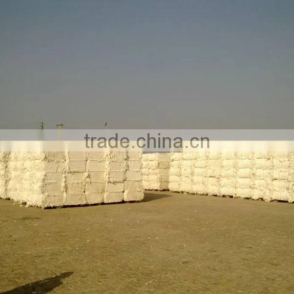 Raw Cotton photo-3