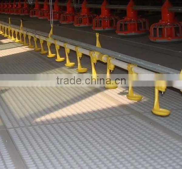 Newly-developed Farm Automatic Chicken Feeding System photo-4