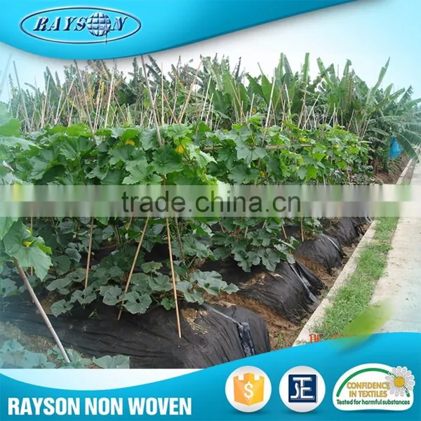 17~70g/m2 Biodegradable Weed Control PP Non Woven Weed Mat photo-6