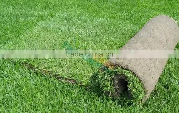 Artificial Soccer Grass Turf Faux Football Lawn Fake Grass for Golf Field photo-2