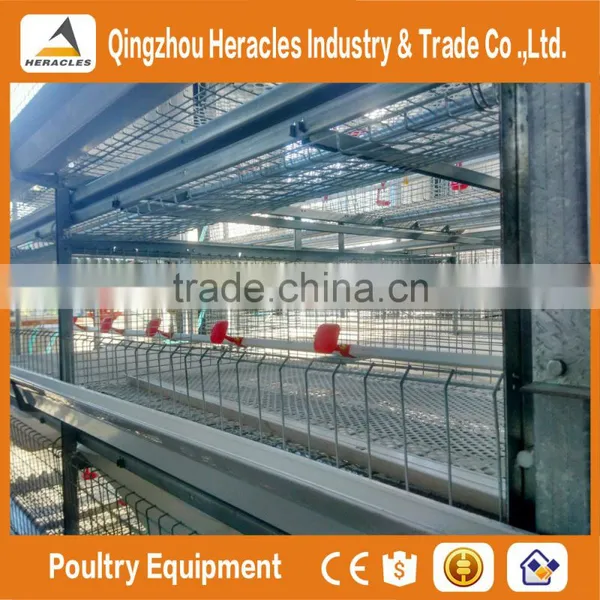 Shandong Heracles Trade Assurance Equipment Poultry Layer Chicken Cage for Sale photo-3